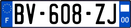 BV-608-ZJ