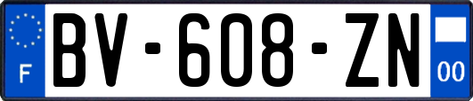 BV-608-ZN