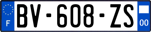 BV-608-ZS