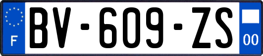 BV-609-ZS