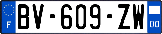 BV-609-ZW