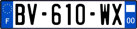 BV-610-WX