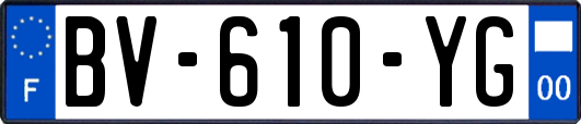 BV-610-YG