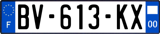 BV-613-KX
