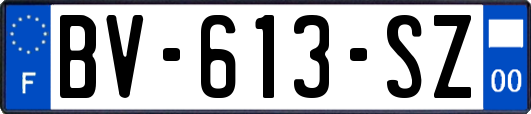 BV-613-SZ