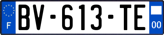 BV-613-TE