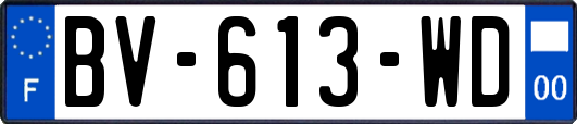 BV-613-WD