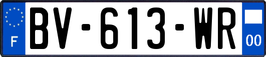 BV-613-WR