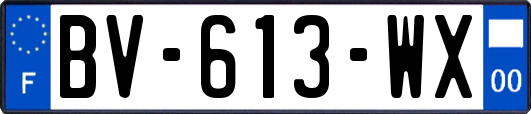 BV-613-WX