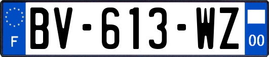 BV-613-WZ