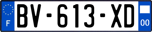 BV-613-XD
