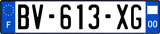 BV-613-XG
