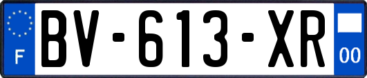 BV-613-XR