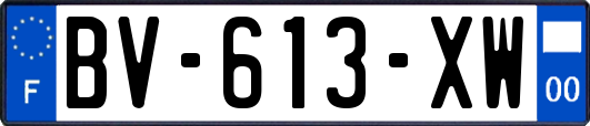 BV-613-XW