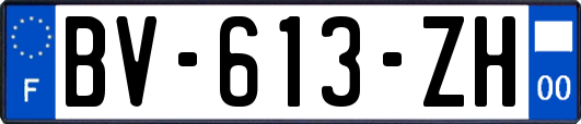 BV-613-ZH