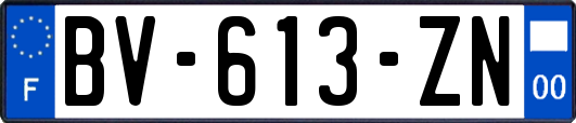 BV-613-ZN