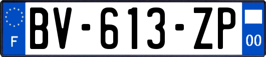 BV-613-ZP