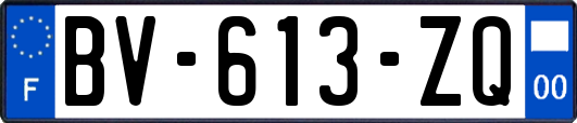 BV-613-ZQ