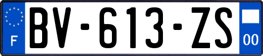 BV-613-ZS