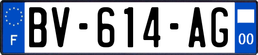 BV-614-AG