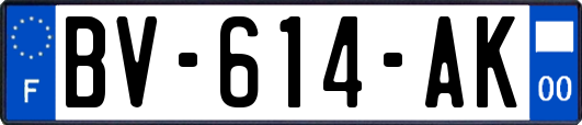 BV-614-AK