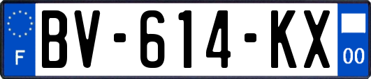 BV-614-KX
