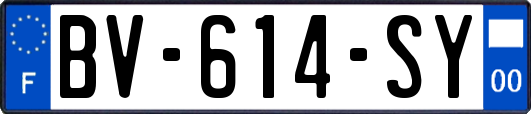 BV-614-SY