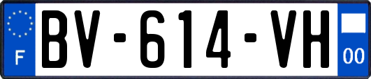 BV-614-VH