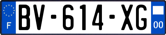 BV-614-XG