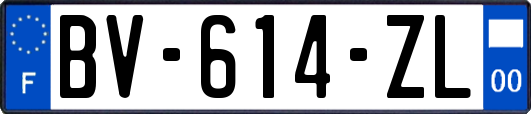 BV-614-ZL