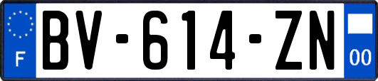 BV-614-ZN