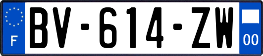 BV-614-ZW