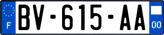 BV-615-AA