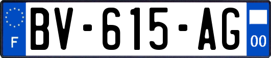 BV-615-AG