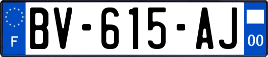 BV-615-AJ