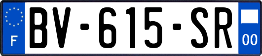 BV-615-SR