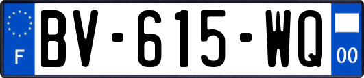 BV-615-WQ