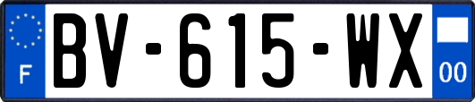 BV-615-WX