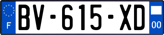 BV-615-XD