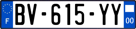 BV-615-YY