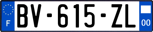 BV-615-ZL