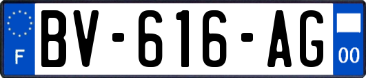 BV-616-AG