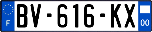 BV-616-KX