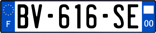 BV-616-SE