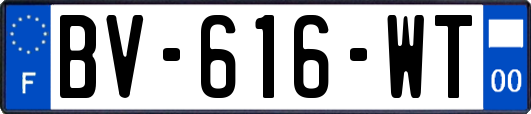 BV-616-WT