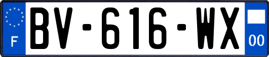 BV-616-WX