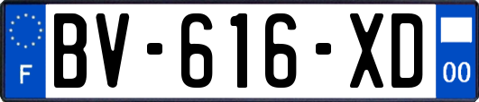 BV-616-XD
