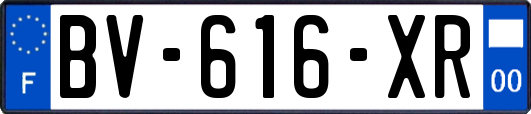 BV-616-XR