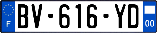 BV-616-YD