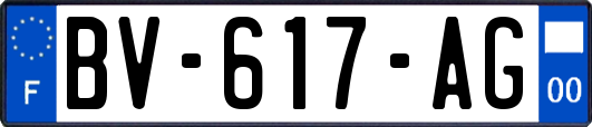 BV-617-AG